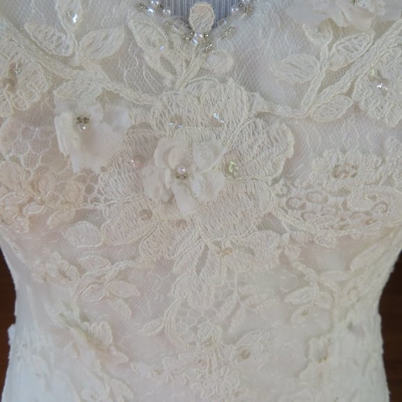 La Sposa by Pronovias Wedding Dress Rochelle - Picture 9 of 13